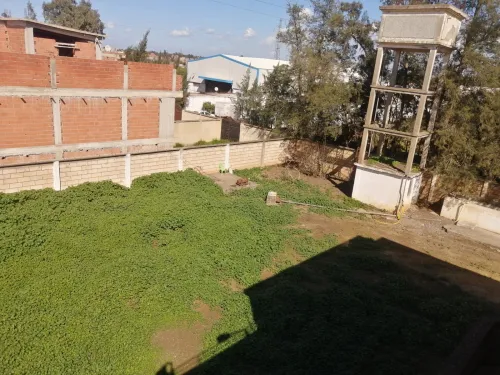 Vente Terrain Blida Chebli