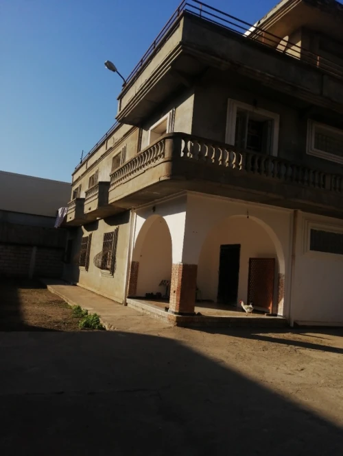 Vente Terrain Blida Chebli
