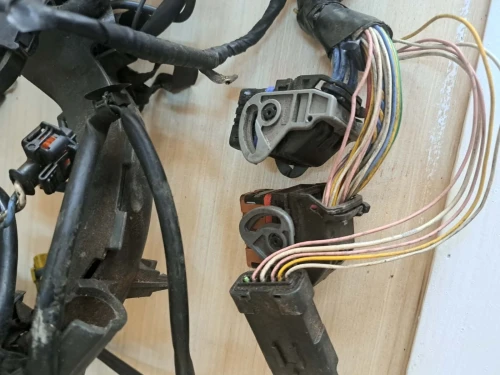 Fiseau electrique 2.0 hdi peugeot 406 ou 307 deux fiches