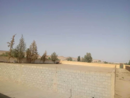 Location Terrain Agricole Laghouat Laghouat