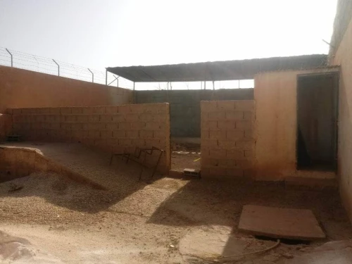 Location Terrain Agricole Laghouat Laghouat