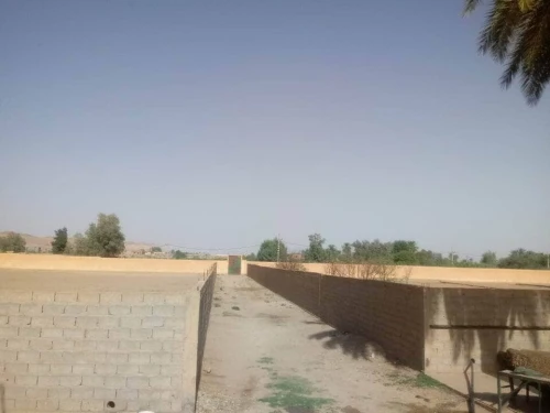 Location Terrain Agricole Laghouat Laghouat