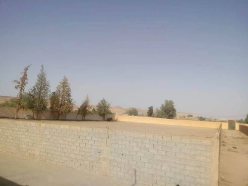 Location Terrain Agricole Laghouat Laghouat