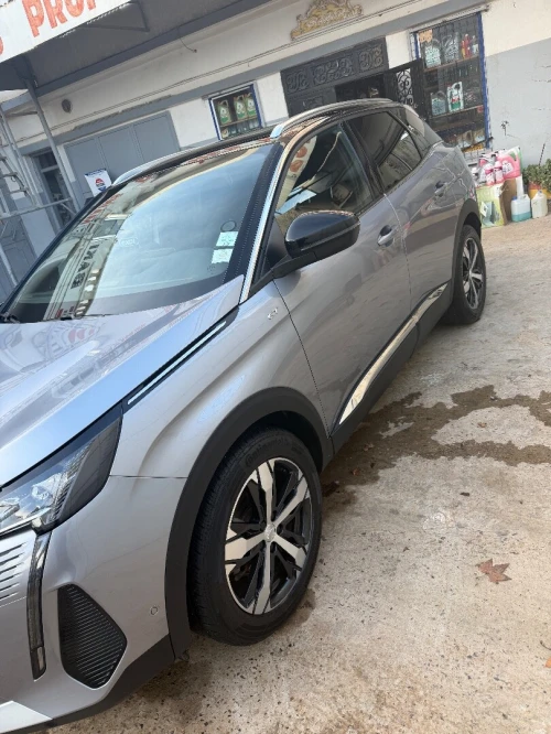 Peugeot 3008 2022 Gros line