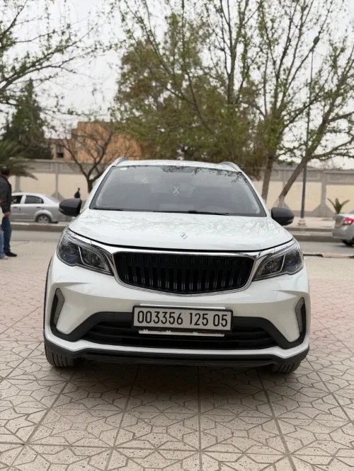 Livan X3 Pro  2025 X3 Pro automatique + Toit 