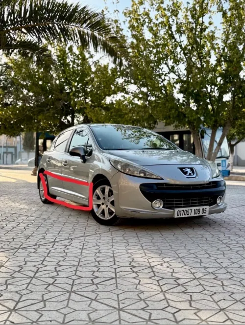 Peugeot 207 2009 Platinum
