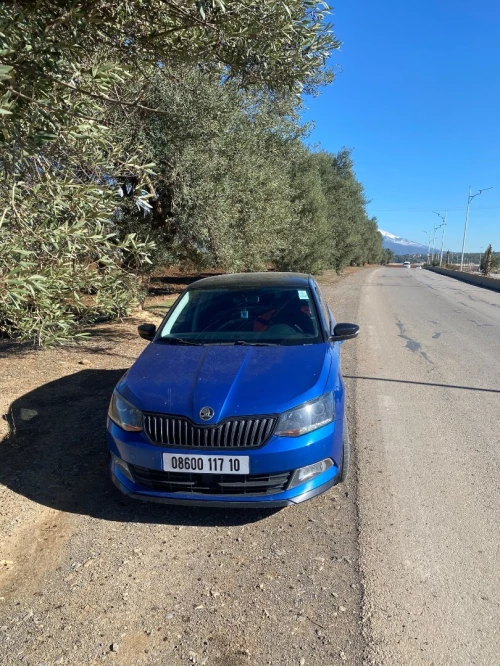 Skoda Fabia 2017 Monte Carlo