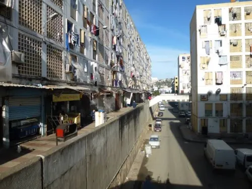 Vente Local Alger Sidi mhamed