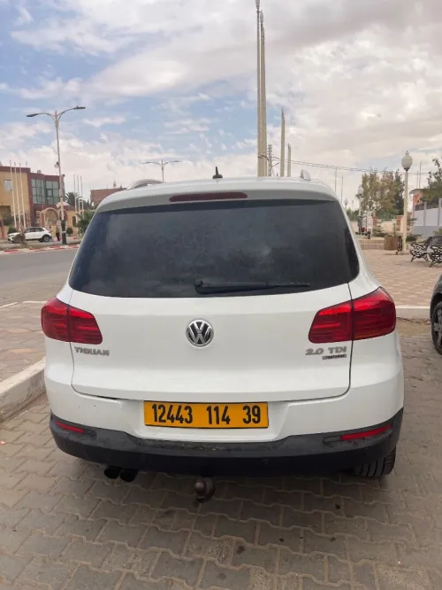 Volkswagen Tiguan 2014 Cub