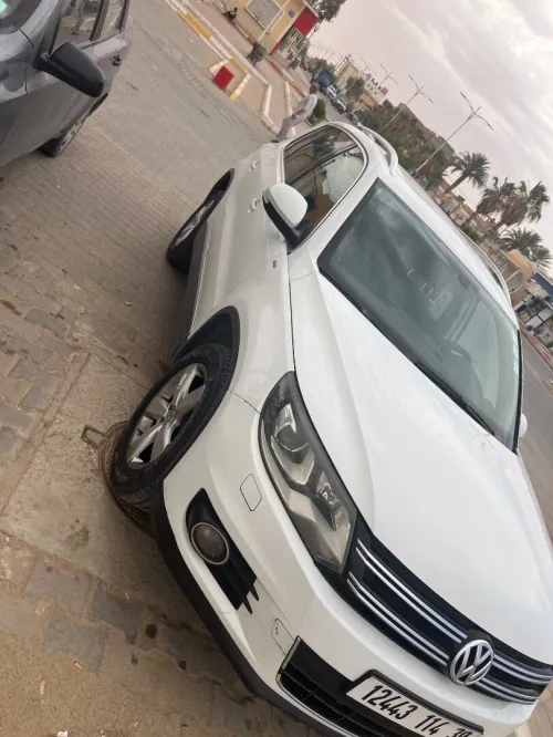 Volkswagen Tiguan 2014 Cub
