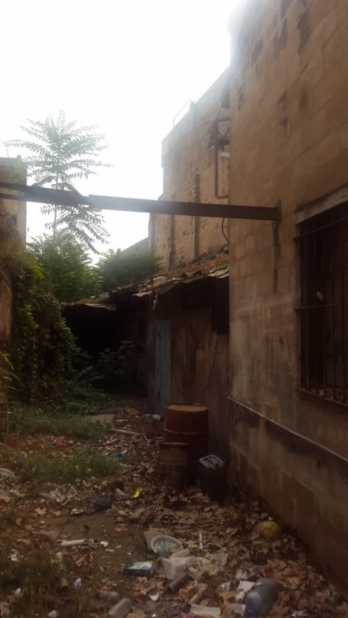Vente Terrain Tlemcen Tlemcen