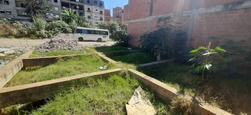 Vente Terrain Jijel Jijel