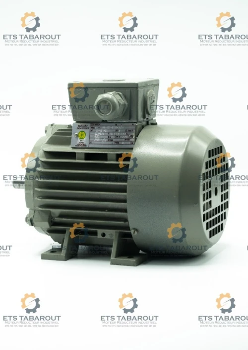 Moteur électrique ENEL 
