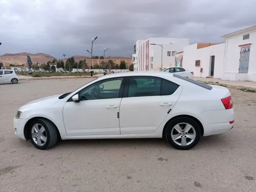 Skoda Octavia 2014 business