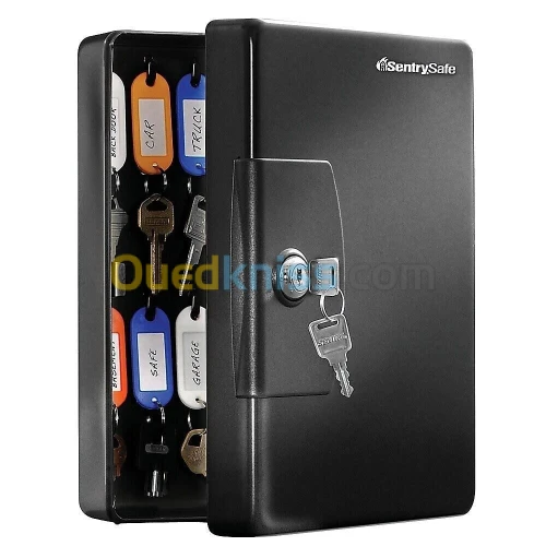 ARMOIRE A 25 CLES SENTRY SAFE KB-25 