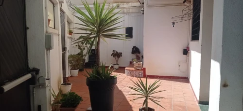Location Villa Alger Kouba