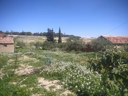Vente Terrain Bordj Bou Arreridj El achir