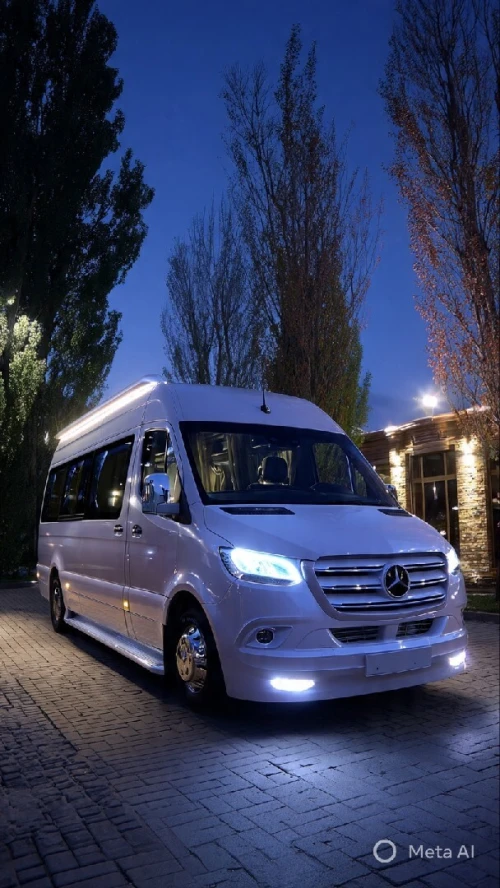 Transport vip