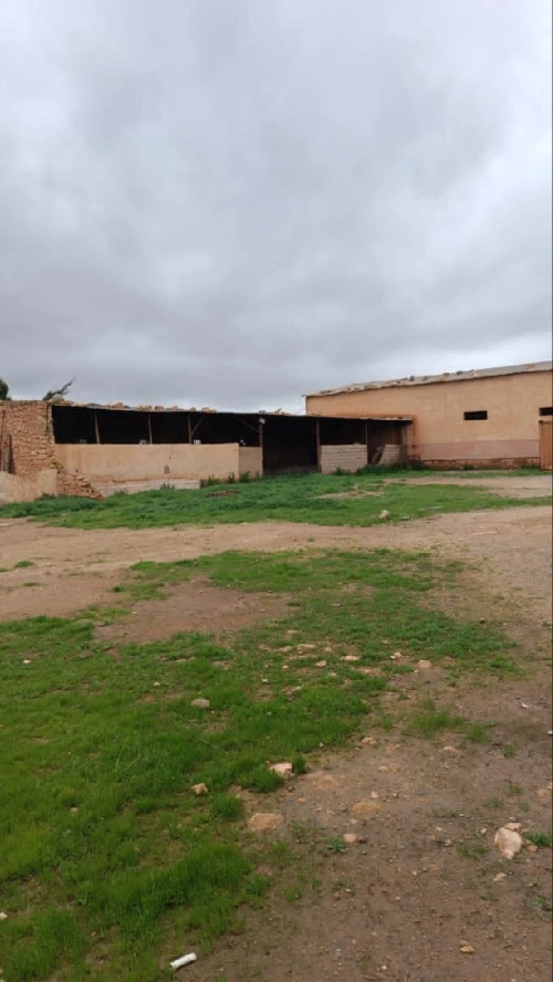 Vente Terrain Aïn Témouchent El amria