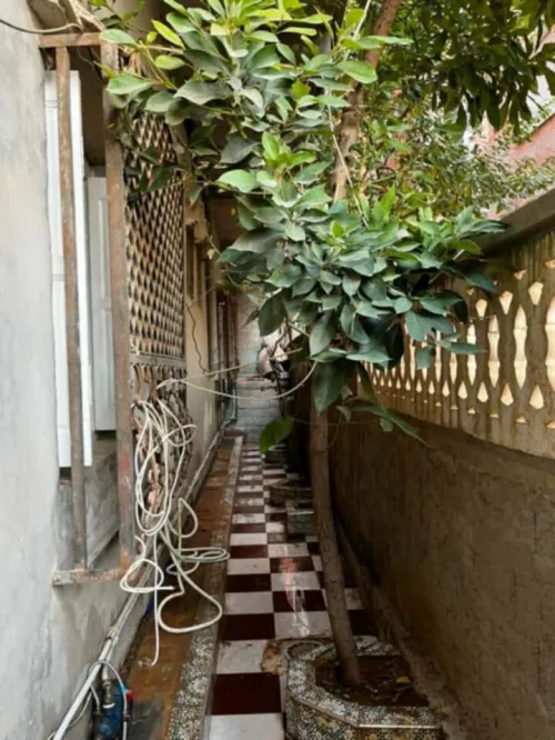 Vente Villa Alger Douera