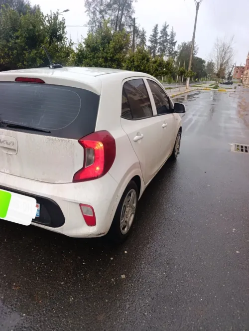 Kia Picanto 2023 Ex
