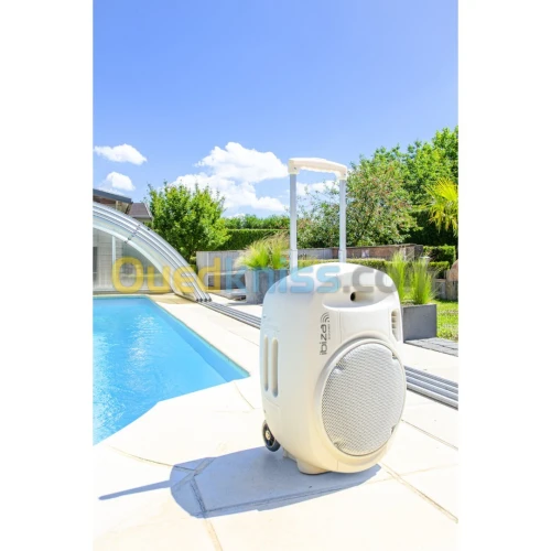 SYSTÈME DE SONORISATION PORTABLE 12”/30CM AVEC USB-MP3, REC, VOX, BLUETOOTH, 2 MICROS UHF - BLANC
