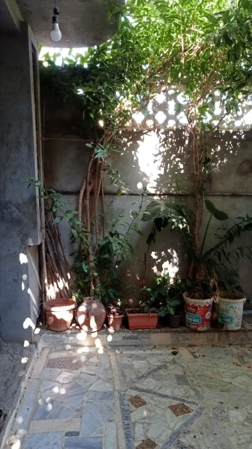Vente Villa Jijel Jijel