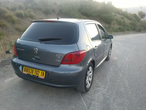 Peugeot 307 2002 XT