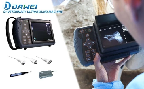 Echographe Vétérinaire Dawei S1