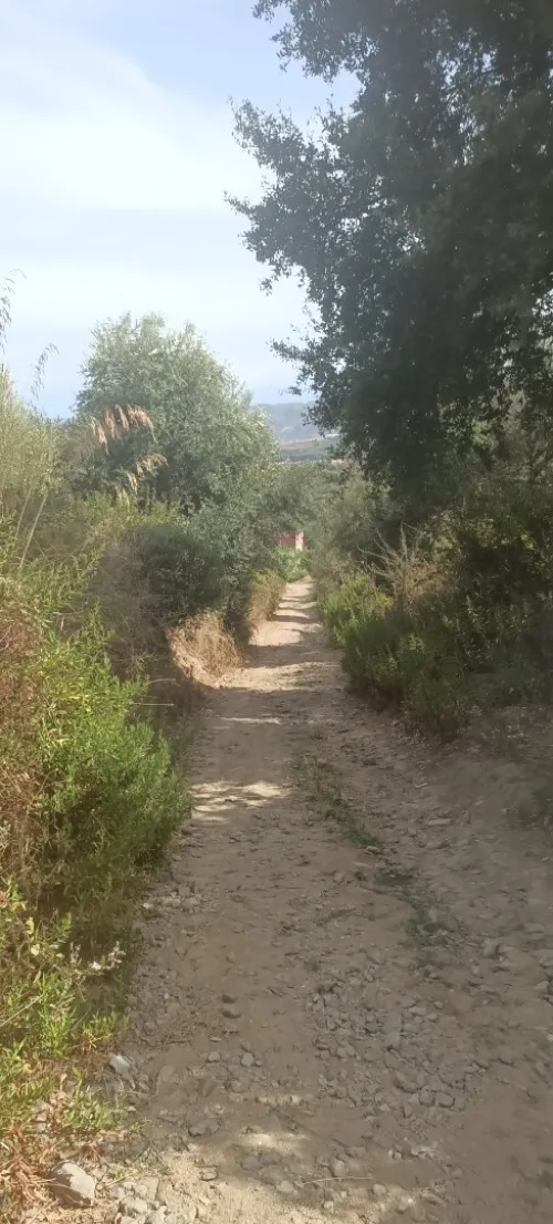 Vente Terrain Skikda Cheraia