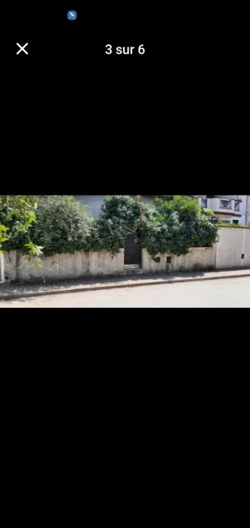 Vente Villa Blida Blida