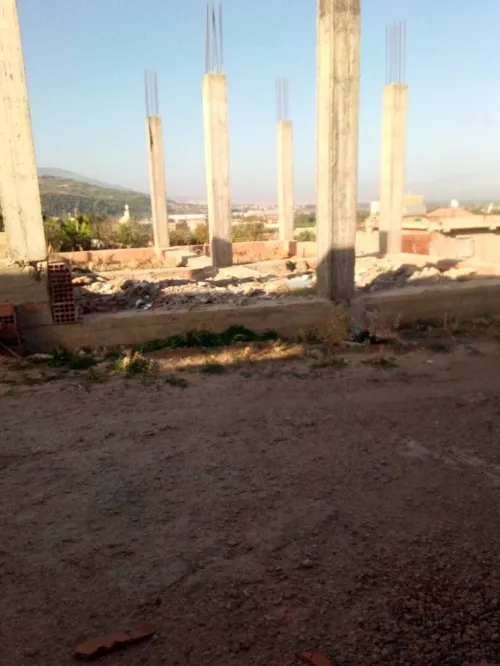 Vente Terrain Blida Bougara