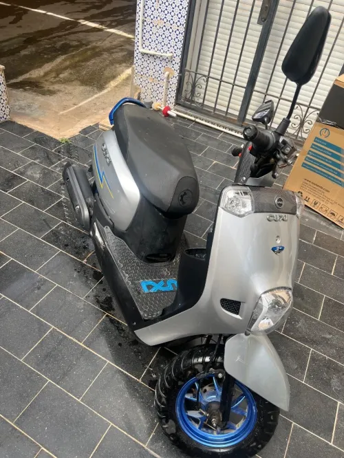 Cuxi Linhai 2023