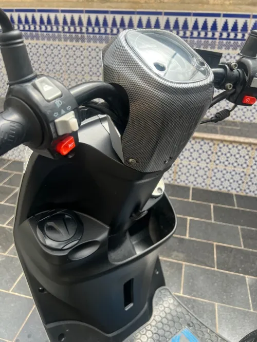 Cuxi Linhai 2023