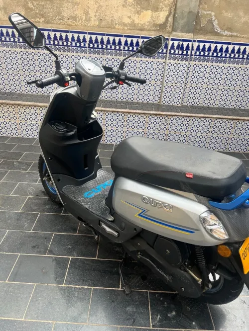 Cuxi Linhai 2023