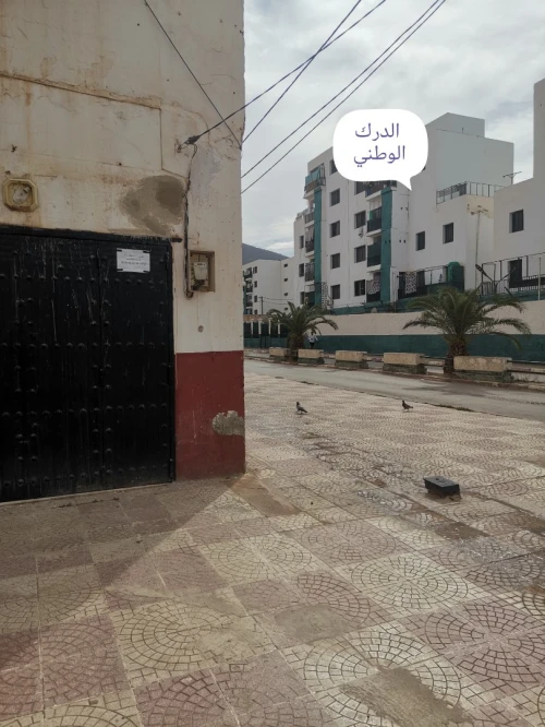 Vente Local Aïn Defla Ain defla