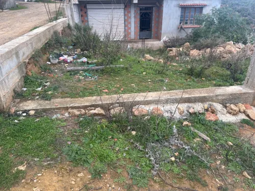 Vente Terrain Tipaza Tipaza