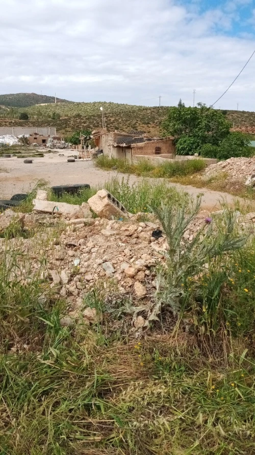 Vente Terrain Tlemcen Oued chouli