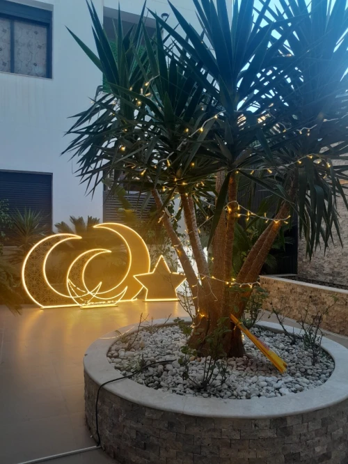 Location Appartement F4 Alger Cheraga