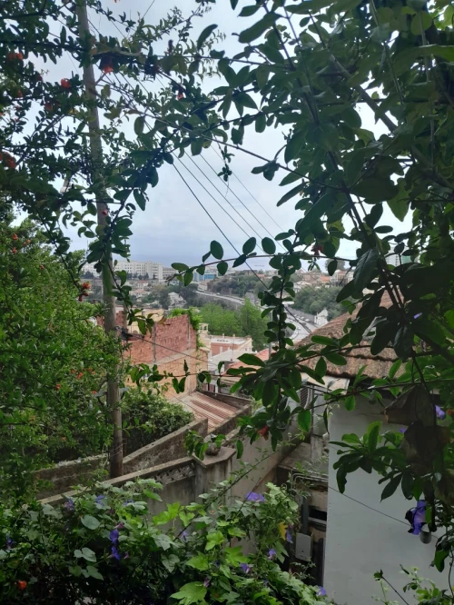 Vente Villa Alger El biar