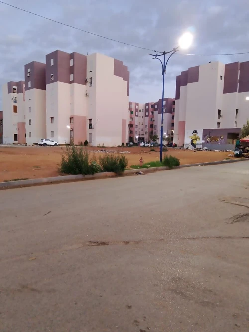 Vente Local Alger Les eucalyptus 4