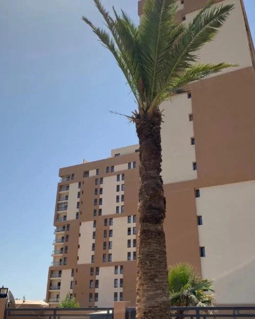 Vente Appartement F3 Oran Bir el djir