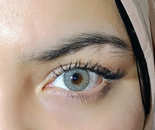 Lentille De Couleur Golden (Gris) عدسات ملونة
