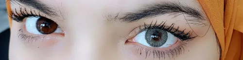Lentille De Couleur Golden (Gris) عدسات ملونة