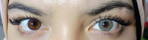 Lentille De Couleur Golden (Gris) عدسات ملونة