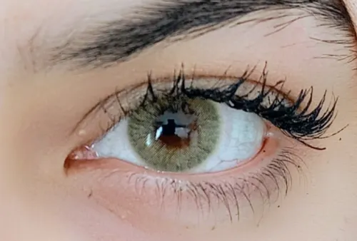 Lentille De Couleur Miel ( Noisette / Vert ) عدسات ملونة