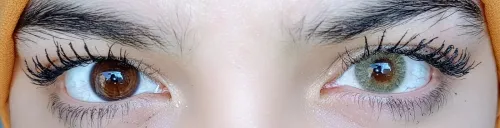 Lentille De Couleur Miel ( Noisette / Vert ) عدسات ملونة