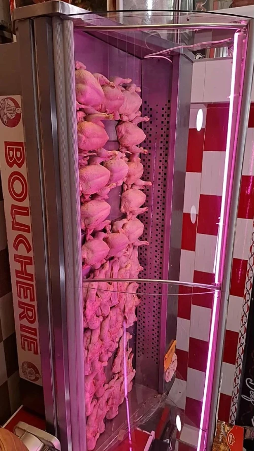 Frigo présentoir 