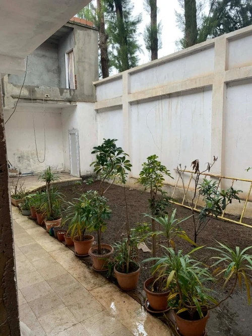 Vente Villa Blida Ben khellil