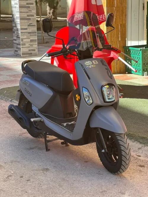 Vms Cuxi 2 2025